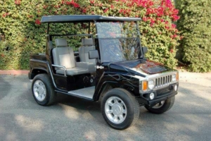 affordable golf cart rental, golf cart rent charlotte
